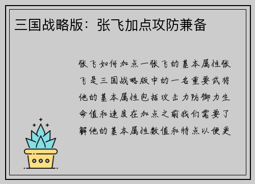 三国战略版：张飞加点攻防兼备