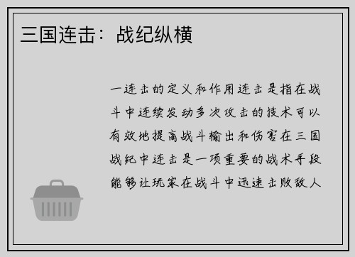 三国连击：战纪纵横